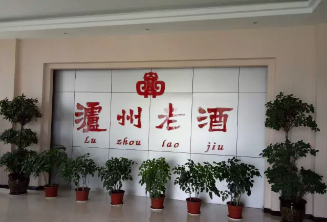 廣西謝氏宗親總會走進(jìn)四川考察瀘州老酒集團(tuán)等企業(yè)